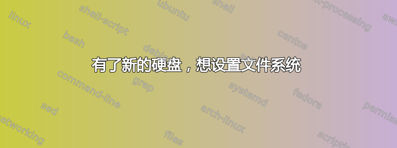 有了新的硬盘，想设置文件系统