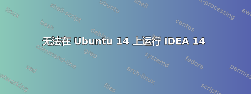 无法在 Ubuntu 14 上运行 IDEA 14