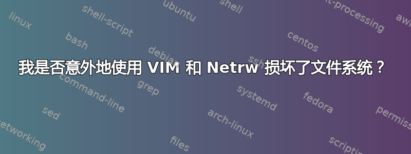 我是否意外地使用 VIM 和 Netrw 损坏了文件系统？