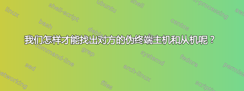 我们怎样才能找出对方的伪终端主机和从机呢？