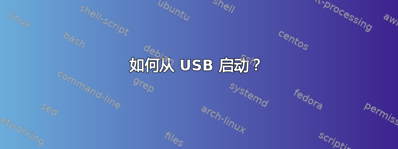 如何从 USB 启动？