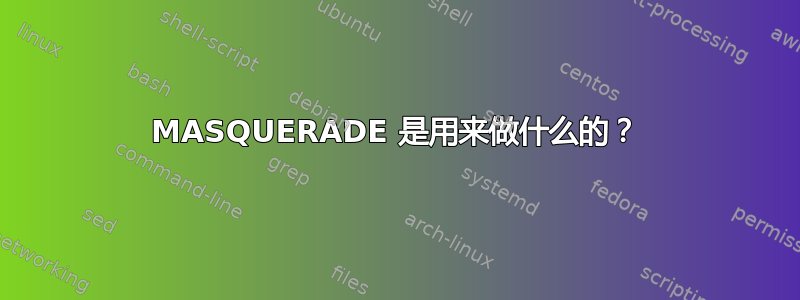 MASQUERADE 是用来做什么的？