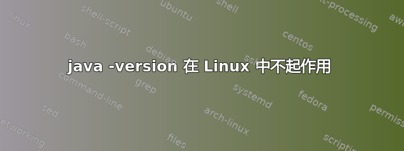 java -version 在 Linux 中不起作用