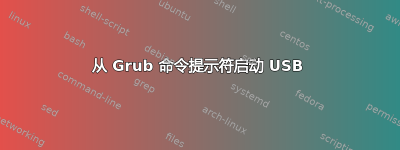 从 Grub 命令提示符启动 USB