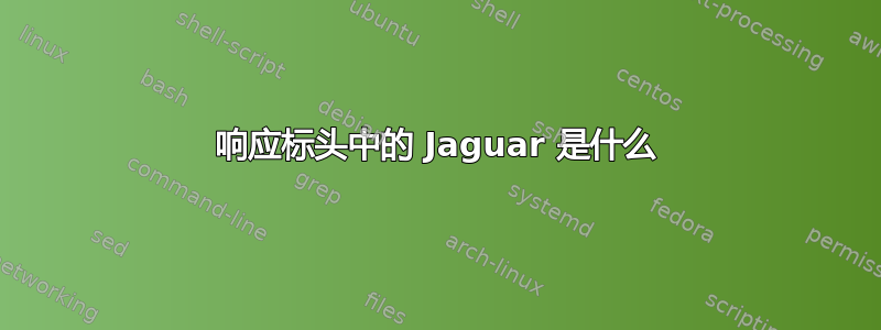 响应标头中的 Jaguar 是什么