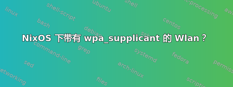 NixOS 下带有 wpa_supplicant 的 Wlan？