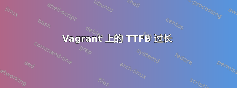 Vagrant 上的 TTFB 过长