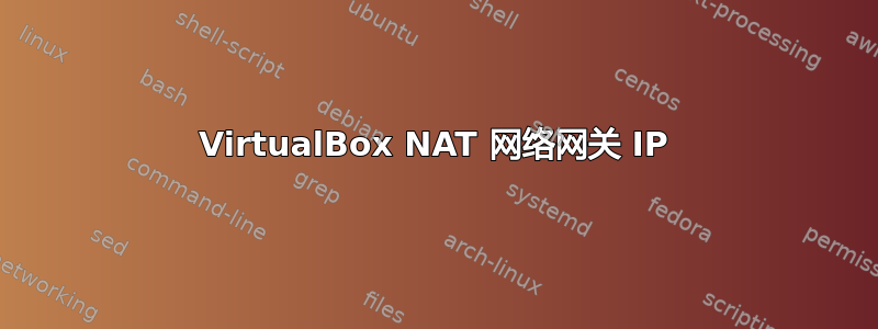 VirtualBox NAT 网络网关 IP