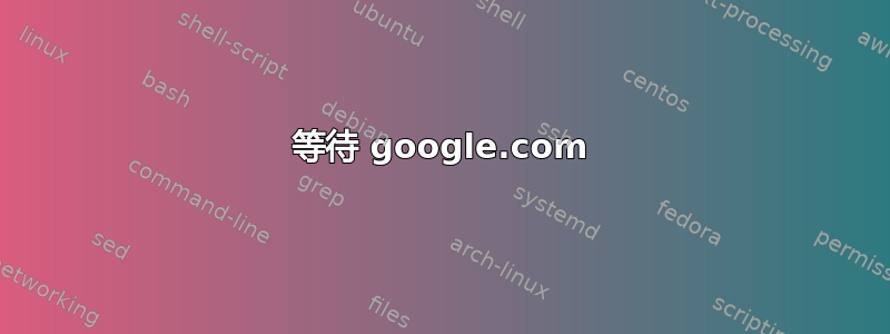 等待 google.com