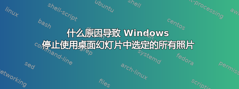 什么原因导致 Windows 停止使用桌面幻灯片中选定的所有照片