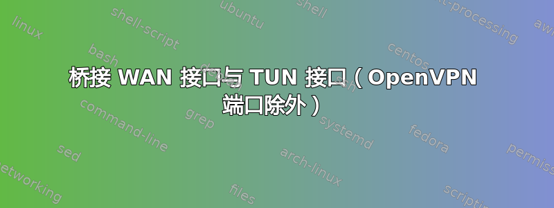 桥接 WAN 接口与 TUN 接口（OpenVPN 端口除外）