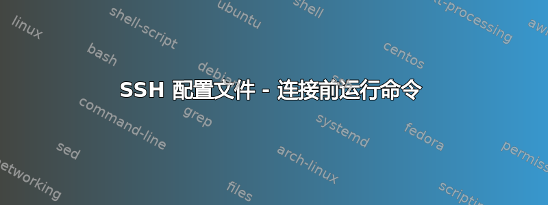 SSH 配置文件 - 连接前运行命令