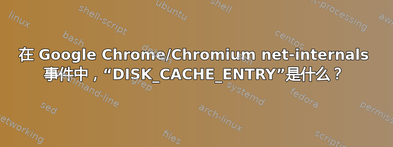 在 Google Chrome/Chromium net-internals 事件中，“DISK_CACHE_ENTRY”是什么？