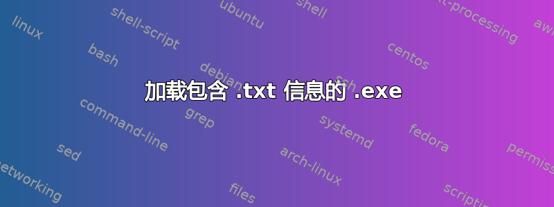 加载包含 .txt 信息的 .exe