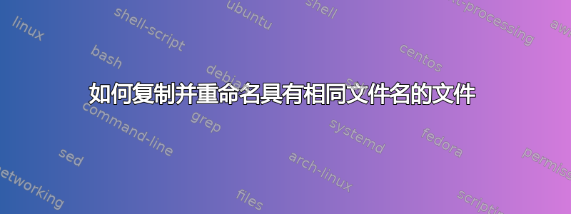 如何复制并重命名具有相同文件名的文件