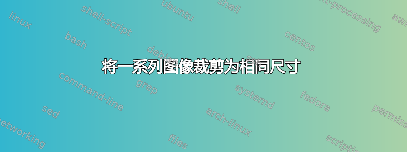 将一系列图像裁剪为相同尺寸