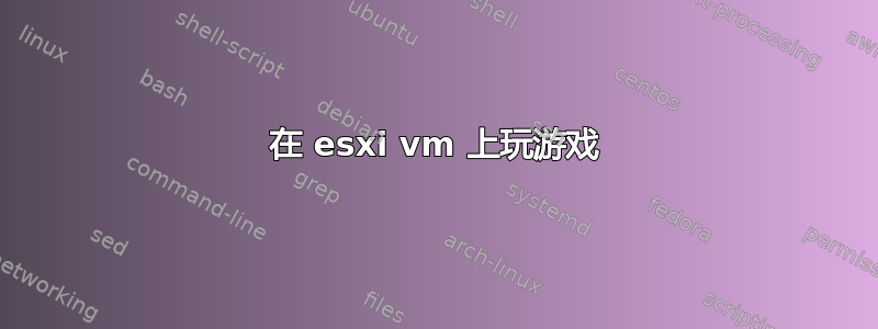 在 esxi vm 上玩游戏