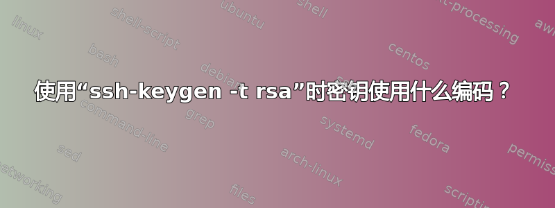 使用“ssh-keygen -t rsa”时密钥使用什么编码？