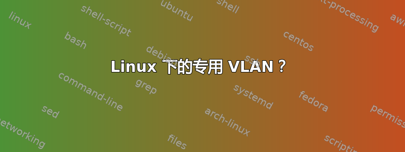 Linux 下的专用 VLAN？