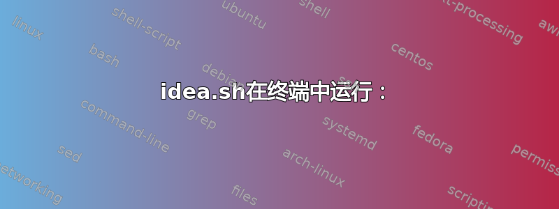 idea.sh在终端中运行：