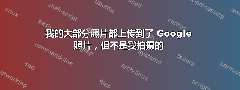 我的大部分照片都上传到了 Google 照片，但不是我拍摄的