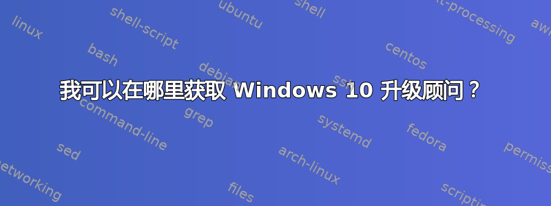 我可以在哪里获取 Windows 10 升级顾问？