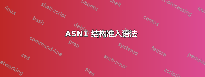 ASN1 结构准入语法