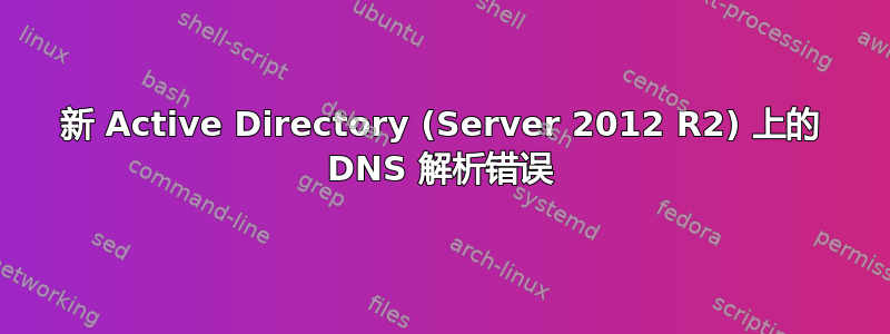 新 Active Directory (Server 2012 R2) 上的 DNS 解析错误