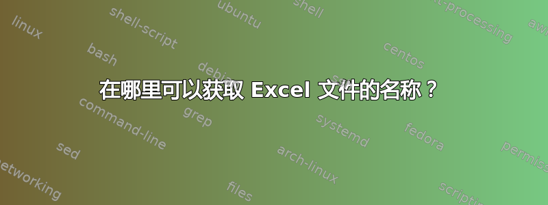 在哪里可以获取 Excel 文件的名称？