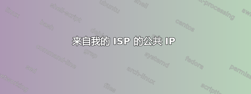 来自我的 ISP 的公共 IP