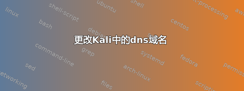 更改Kali中的dns域名