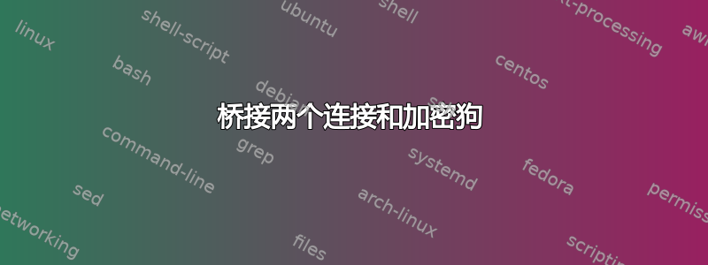 桥接两个连接和加密狗