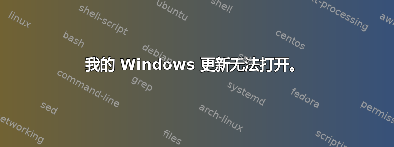 我的 Windows 更新无法打开。