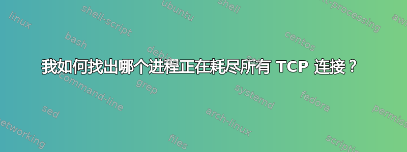 我如何找出哪个进程正在耗尽所有 TCP 连接？