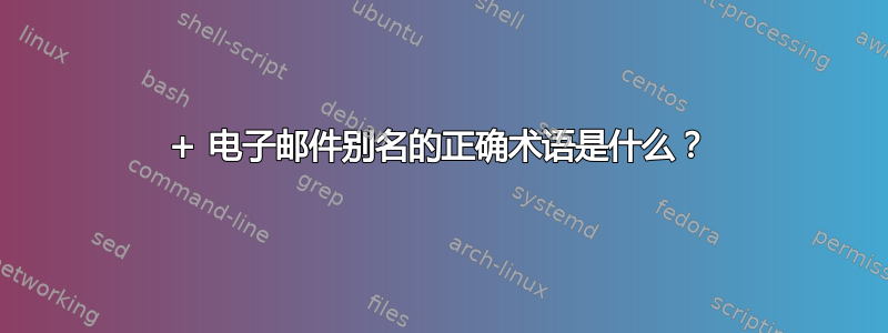 + 电子邮件别名的正确术语是什么？