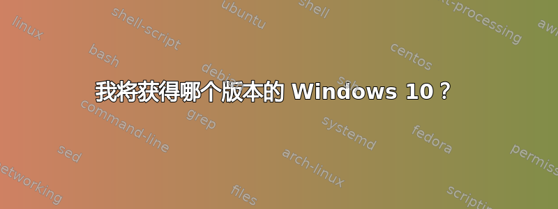 我将获得哪个版本的 Windows 10？