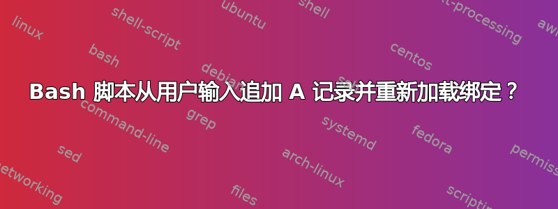 Bash 脚本从用户输入追加 A 记录并重新加载绑定？