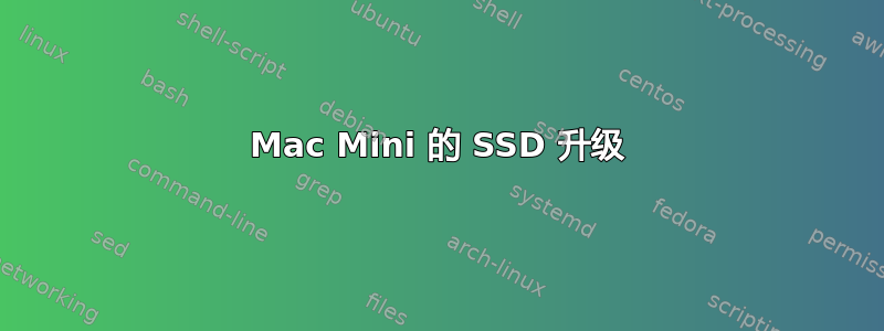 Mac Mini 的 SSD 升级