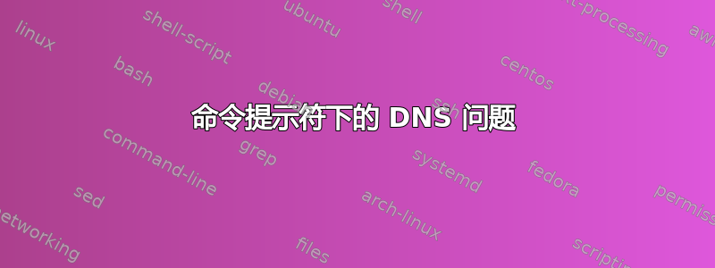 命令提示符下的 DNS 问题