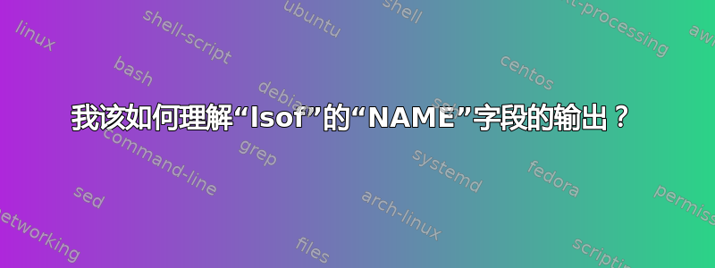 我该如何理解“lsof”的“NAME”字段的输出？