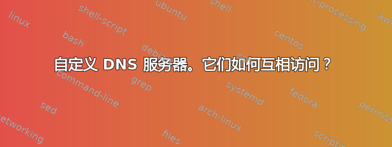 自定义 DNS 服务器。它们如何互相访问？