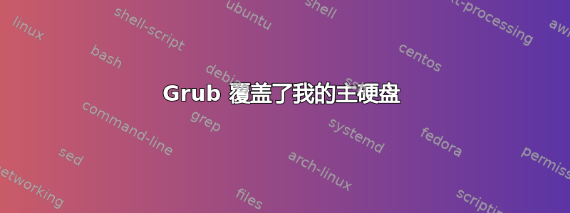 Grub 覆盖了我的主硬盘