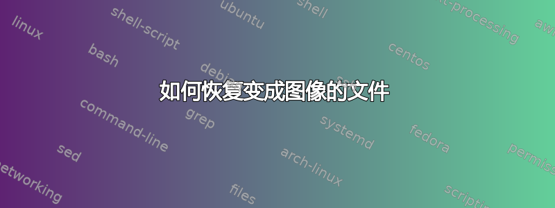 如何恢复变成图像的文件