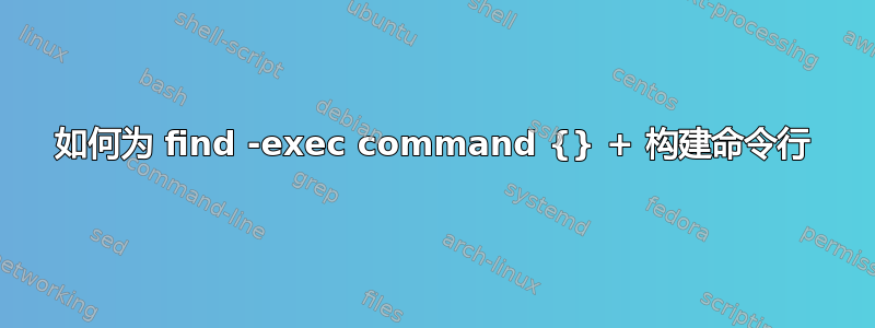 如何为 find -exec command {} + 构建命令行