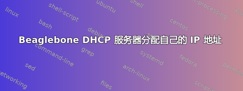 Beaglebone DHCP 服务器分配自己的 IP 地址