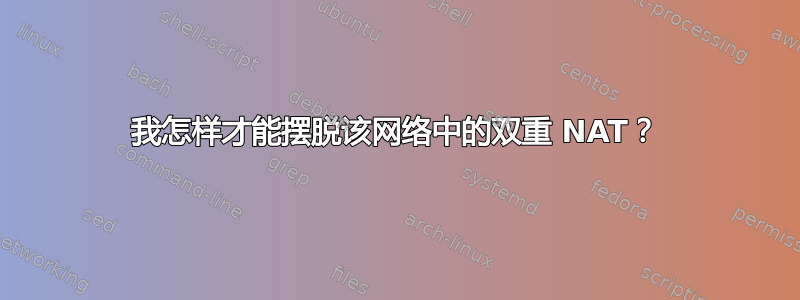 我怎样才能摆脱该网络中的双重 NAT？