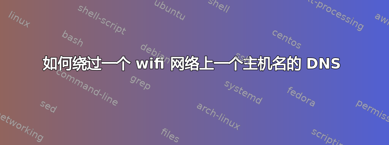 如何绕过一个 wifi 网络上一个主机名的 DNS