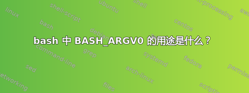 bash 中 BASH_ARGV0 的用途是什么？