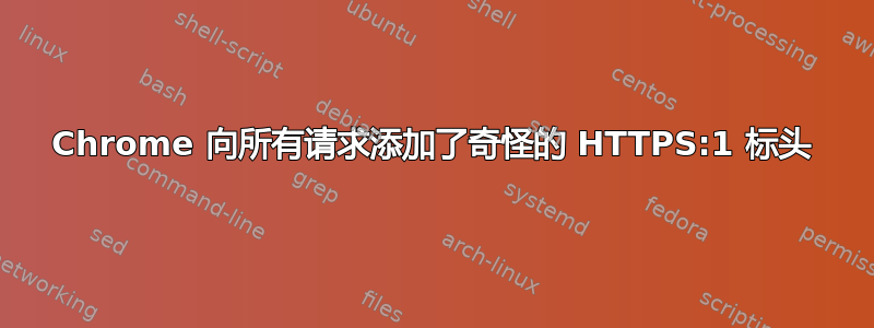 Chrome 向所有请求添加了奇怪的 HTTPS:1 标头