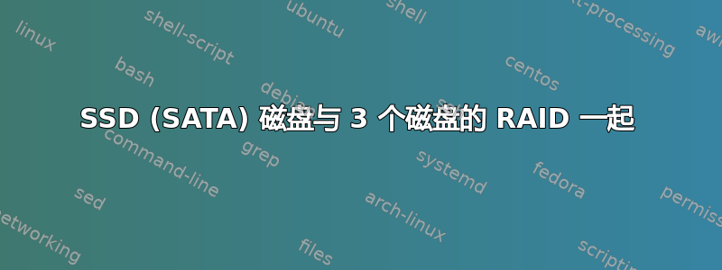 SSD (SATA) 磁盘与 3 个磁盘的 RAID 一起